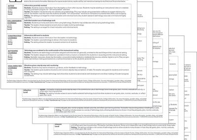 TIM Descriptors by Level